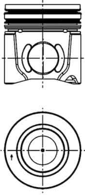 WG1016552