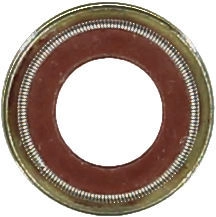 WG1004708