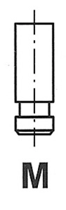 WG1052902