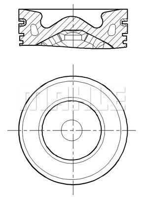 WG2196017