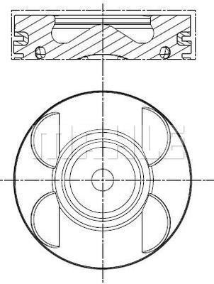 WG2304459