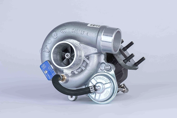 WG1129994