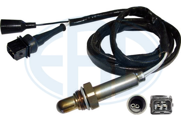 WG1496006