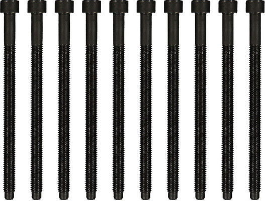 WG1006207