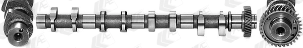 WG1462578