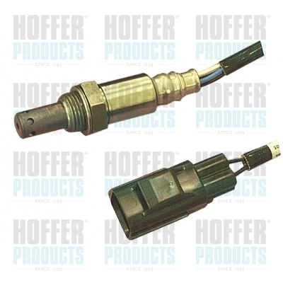 WG1013950
