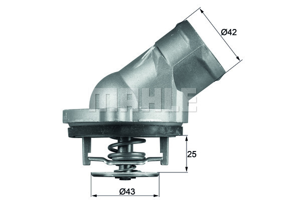 WG2401433