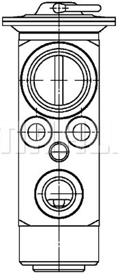 WG2370491