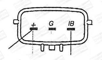 WG2009137