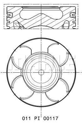 WG2304462