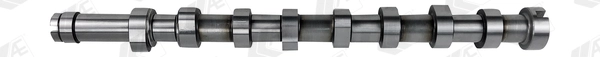 WG1462600