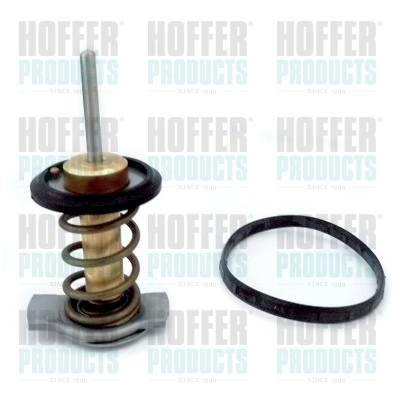 WG1749721