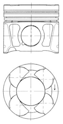 WG1016761