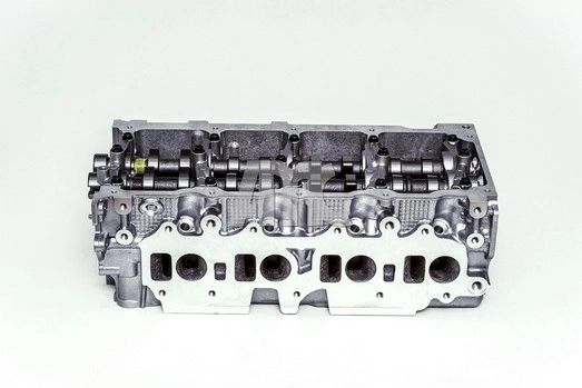 WG2010646