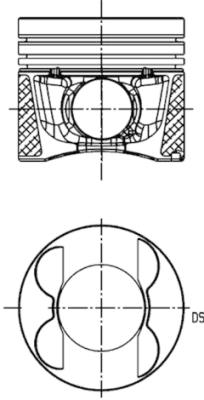 WG1016741