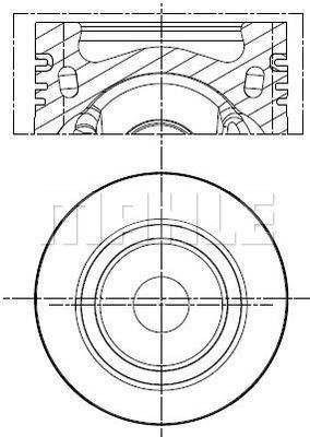 WG2201185