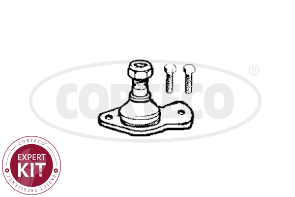 WG2291617