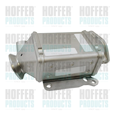 WG1938482
