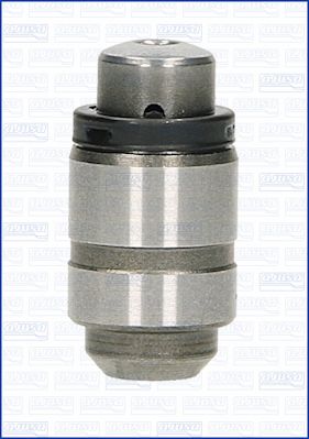 WG1009688