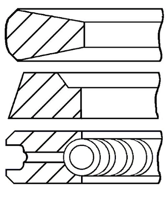 WG1096481
