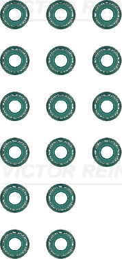 WG1103062