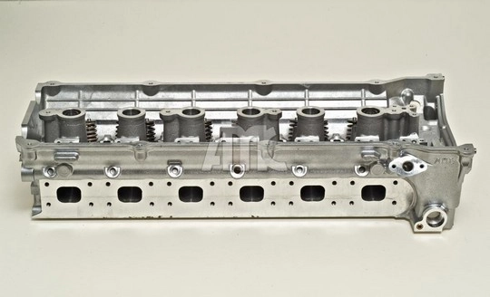 WG1011528