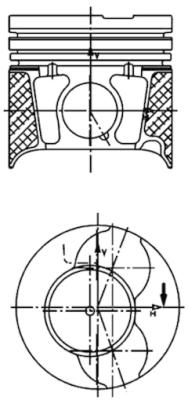 WG1016646