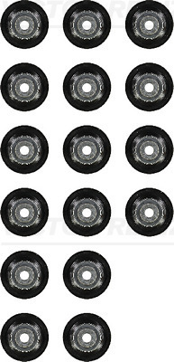 WG1103096