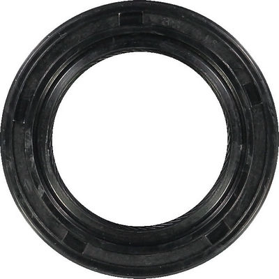 WG1004966