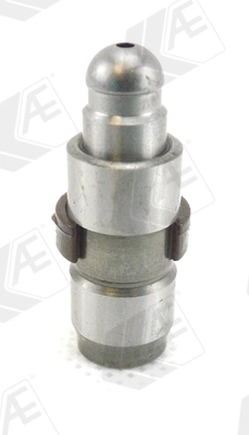 WG1172093