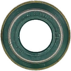 WG1004629