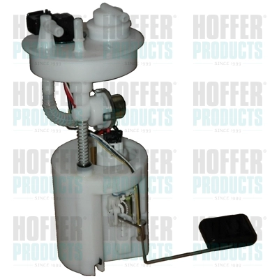 WG1013312