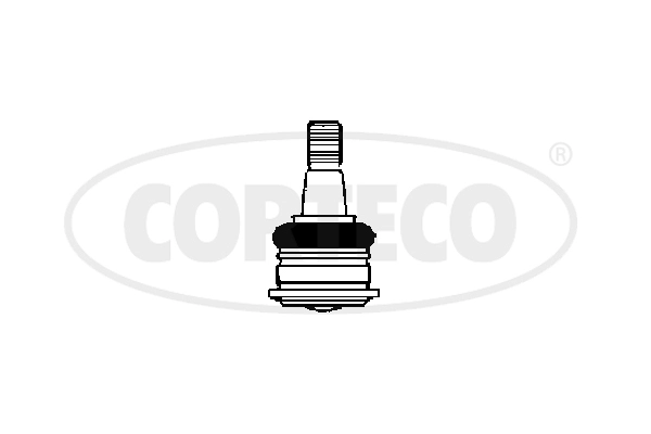 WG2290800