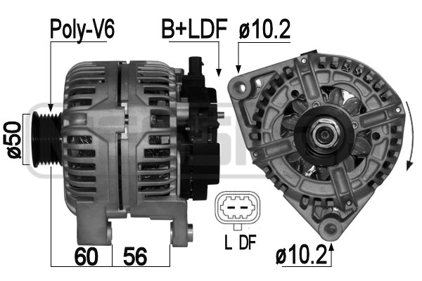 WG2010991