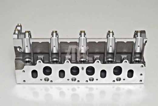 WG1010979