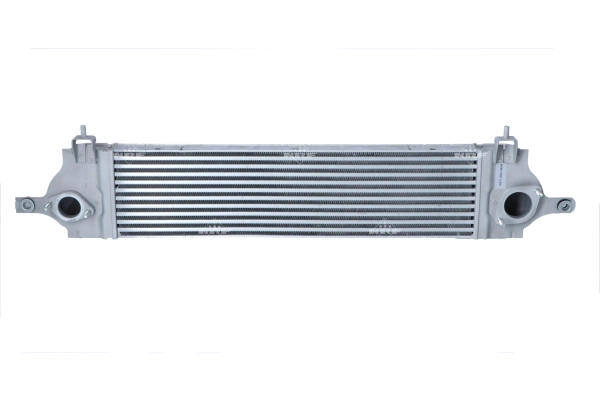 WG1724006