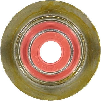 WG1004690