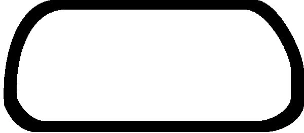 WG1006668