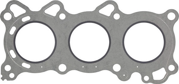 WG1004101