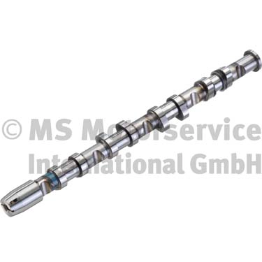 WG1017846