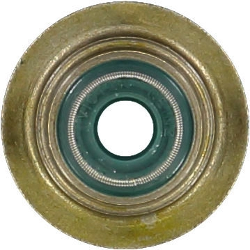 WG1004659