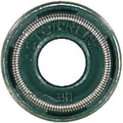 WG1004704