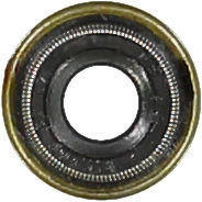 WG1705604