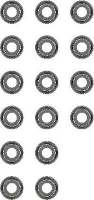 WG1004227