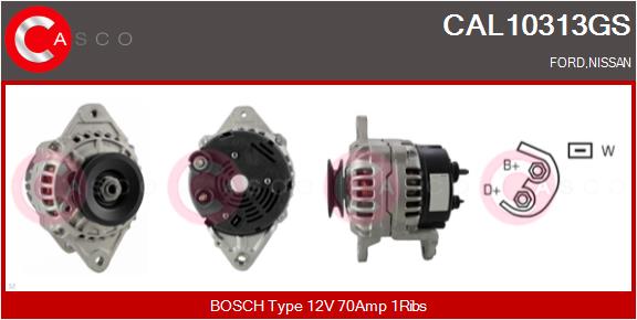 CAL10313GS