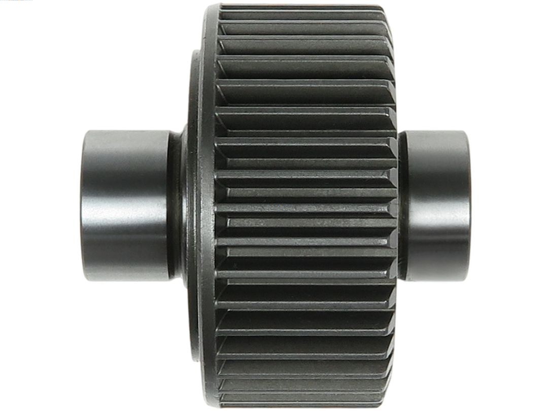 SD2019P