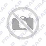 FRSP1009