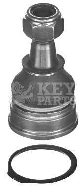 KBJ5494