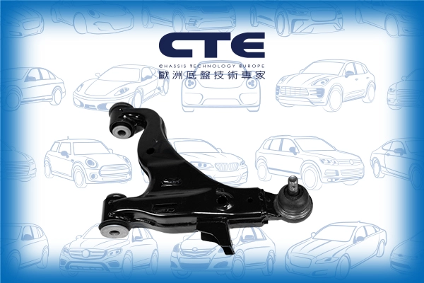 CS-273R
