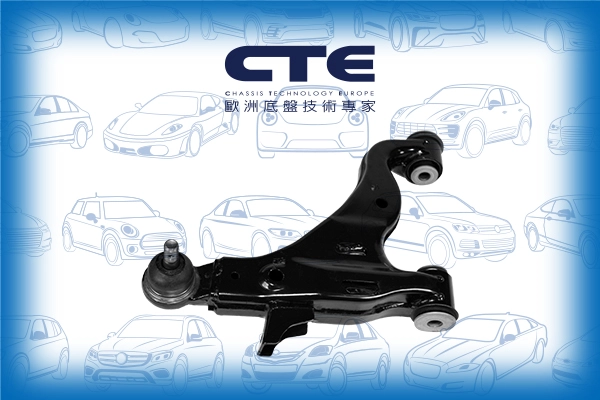 CS-273L